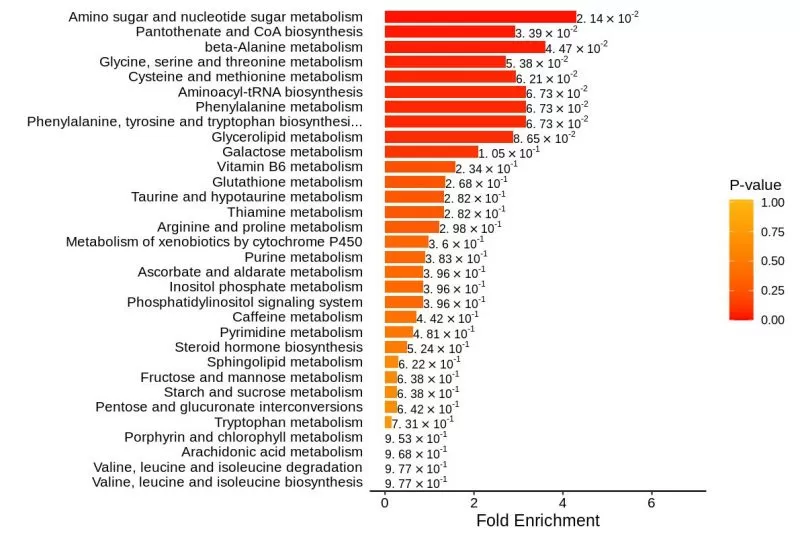 Data Analysis in Metabolomics Biomarker Research-Metabolites Function Analysis figure 5.jpg